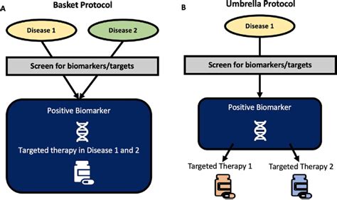 Clinical Trial Design Basket A And Umbrella B Protocols Two Types