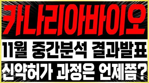 카나리아바이오 주가전망 🚨긴급🚨11월 중간분석 결과발표 나옵니다 오레고보맙 난소암 신약허가 과정은 대체 언제쯤🔥 오레고