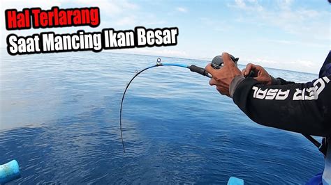 Menyesal Jika Ini Terjadi Saat Mancing Ikan Besar Youtube