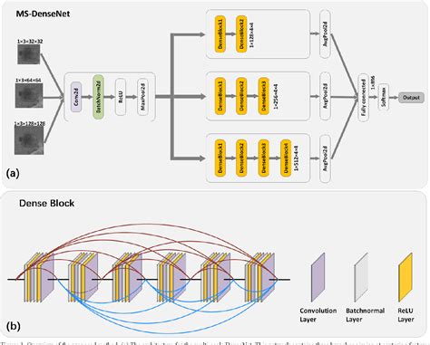 Figure 1 From Multi Scale Patches Convolutional Neural Network Predicting The Histological Grade