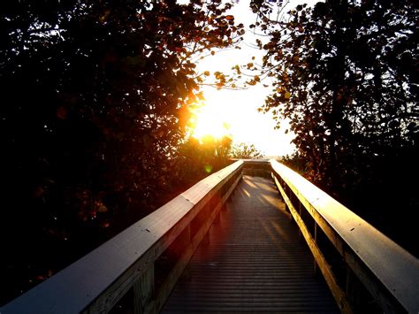 Sunset Bridge Free Photo Download | FreeImages