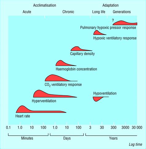 Oxygen Levels Altitude Chart