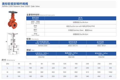 Resilient Seat Gate Valve Awwa C509 Rising Stem From China Manufacturer Pg Valves