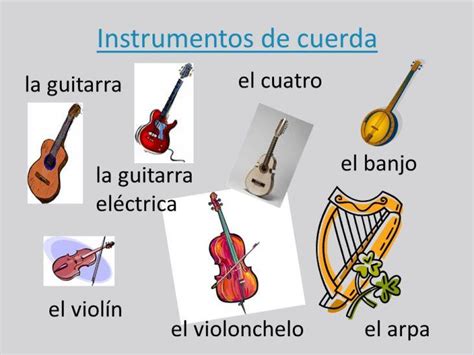 Descubre los 15 instrumentos musicales más populares y su función