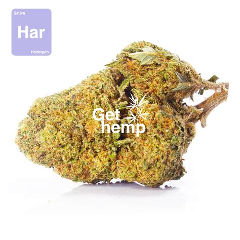 High Quality Legal Cbd Hemp Flower Gethemp