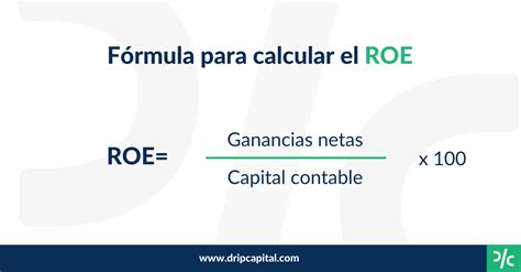 Como Se Calcula Roe