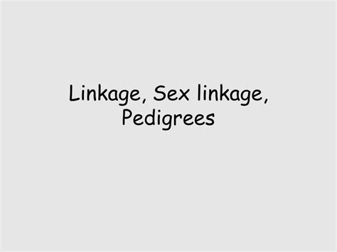 Ppt Linkage Sex Linkage Pedigrees Powerpoint Presentation Free