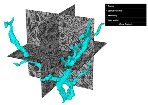 GitHub - janelia-flyem/dvid: Distributed, Versioned, Image-oriented ...