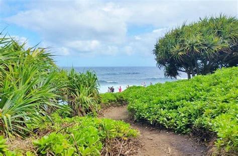 Road to Hana hikes with 11+ East Maui hikes near Hana Highway 🌴 Hawaii ...