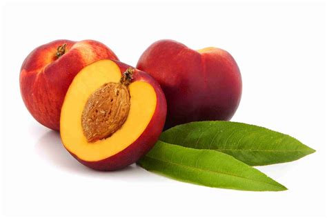 Nectarine Trees For Sale Online PlantNet Australia