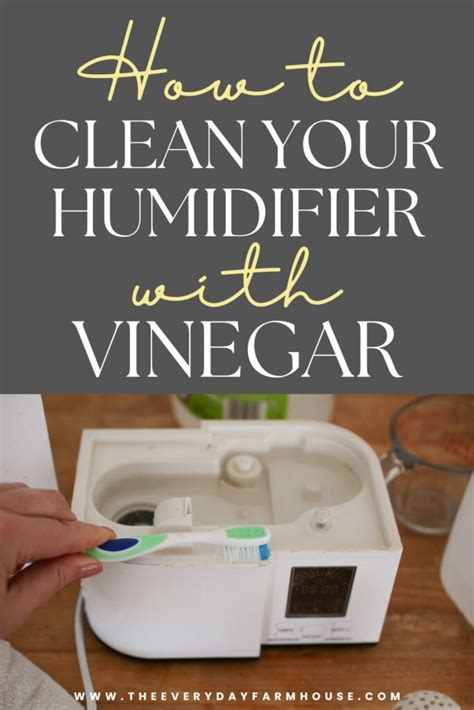 How to Clean a Humidifier with Vinegar | Step-by-Step - The Everyday ...