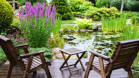 Plants You'll Want To Keep In Your Pond