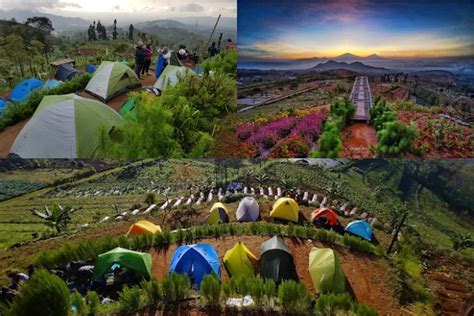 Hanya Rp Ribu Kamu Bisa Rasakan Camping Dengan View Indah Gunung