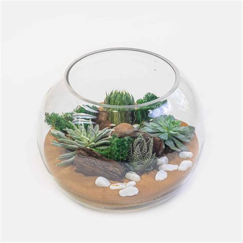 Tall Terrarium Garden - The Gorgeous Flower Company