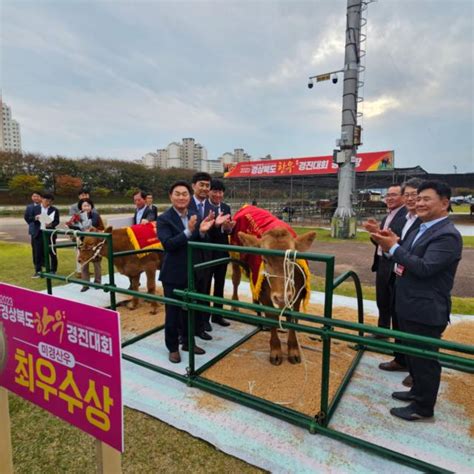 경북한우경진대회 미경산우 부문 청도군 금천면 박천석 농가 최우수상 수상 아주경제