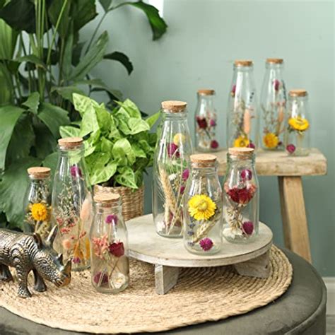 Comforder Trockenblumen Im Glas Mit Korken Er Set Getrocknete Blumen