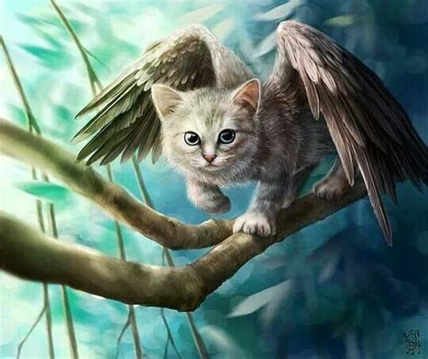 Fantasy Cats With Wings