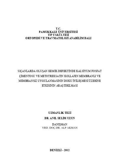 S Anlarda Olu An Kemik Defektinde Kalsiyum Fosfat Imentosu Ve