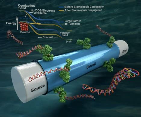 Nanotechnology Now Press Release Ultra Sensitive Electrical