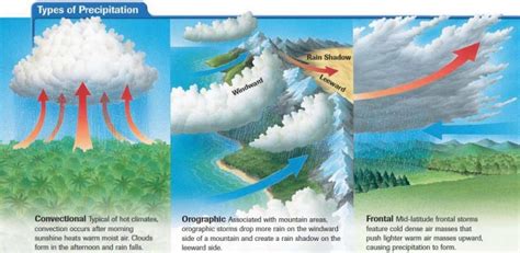 Precipitation Rainfall Forms Types And Distribution 60 OFF