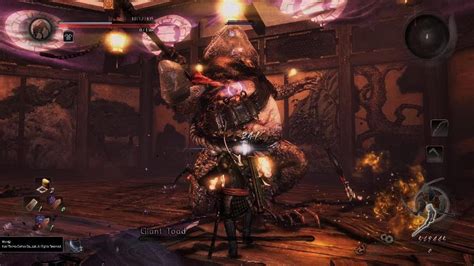 Nioh GIANT TOAD BOSS YouTube