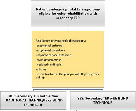 Decision Algorithm In Voice Rehabilitation After Total Laryngectomy