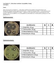 Lab Docx Lab Module Kirby Bauer Antibiotic Susceptibility