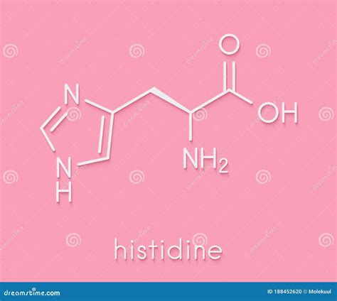 Histidine L Histidine His H Amino Acid Molecule Skeletal Formula