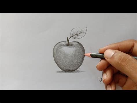 Details more than 94 apple shading drawing latest - nanoginkgobiloba.vn