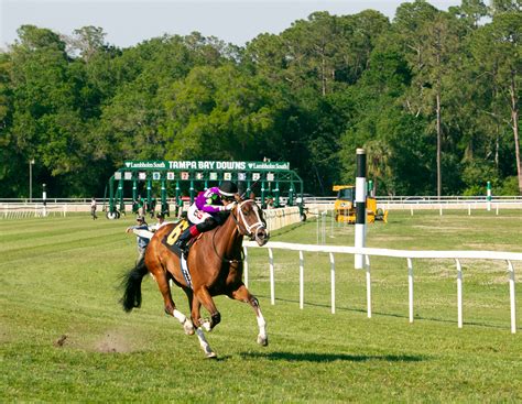 tampa downs results are in for the biggest race of the season