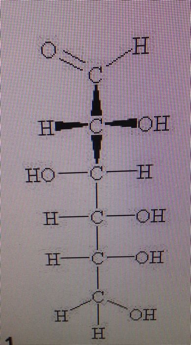 Solved What molecule is this?Polyhydroxy aldehyde | Chegg.com