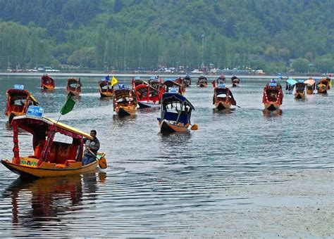 Shikara Festival Begins in Dal Lake