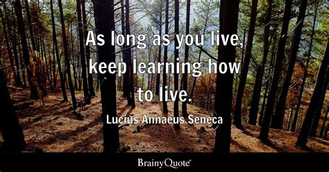 Lucius Annaeus Seneca - As long as you live, keep learning...