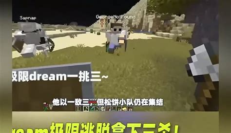 【小方块游戏动画】我的世界 Mc速通 Dream 大神dream成功击败三名猎人！ 1千粉丝265作品期待你的评论游戏视频 免费在线