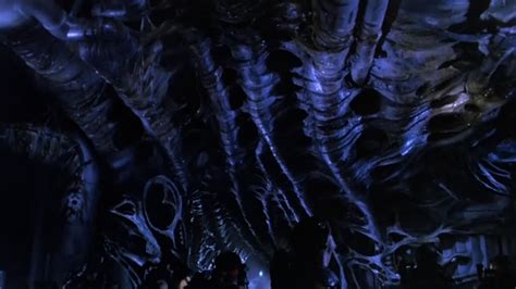 Image - Hive 1.jpg | Alien Anthology Wiki | FANDOM powered by Wikia