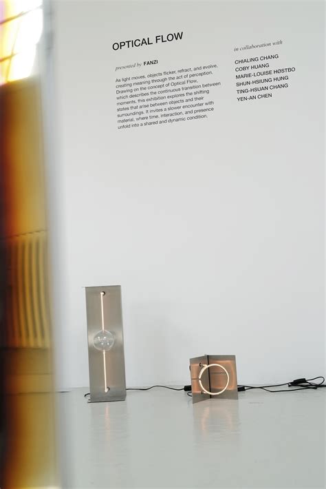 FANZI's Optical Flow Dissolves Boundaries Between Art + Function