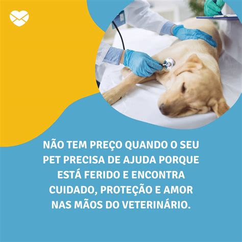 Dia Do Veterinário Mensagem - 10