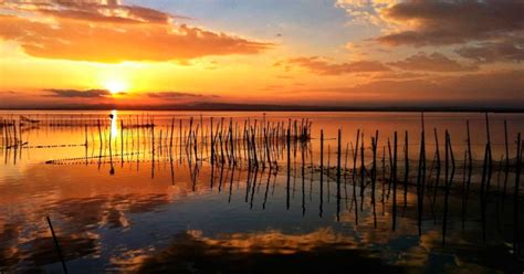 Parque Natural De L Albufera El Tesoro De Valencia