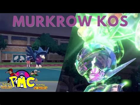 Murkrow Carry Pokemon Scarlet And Violet Vgc Series Wifi Battles