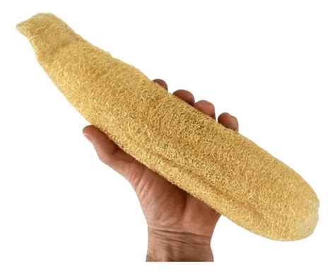 Esponja Vegetal Exfoliante Luffa Ducha Cocina Natural MercadoLibre