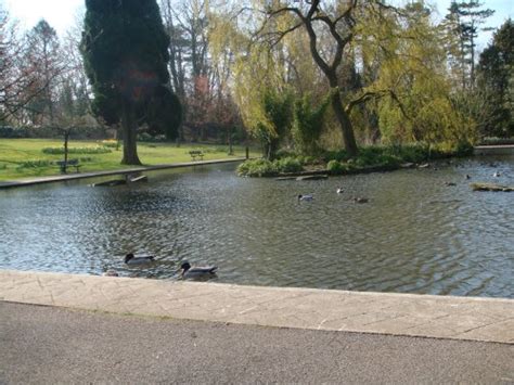 Collet Park Shepton Mallet By Kath Richards At Picturesofengland