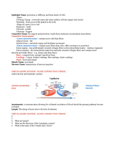 Foundation Quiz 2 - This course is the first of two devoted to the