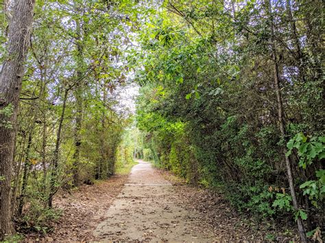 5 Great Runs with a View in The Woodlands