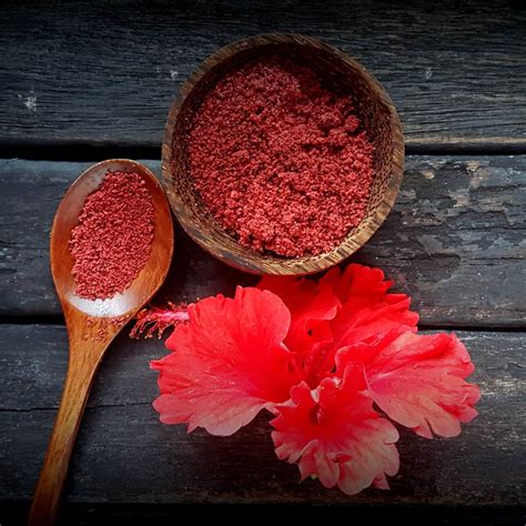 Hibiscus Flower Powder 300µm Hibiscus Sabdariffa L