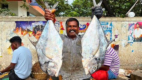 Kasimedu Cheetah Durai Diamond Trevally Fish Cutting Video In