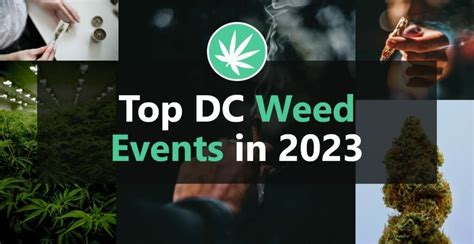 Dc Weed Events For 2023 You Dont Want To Miss