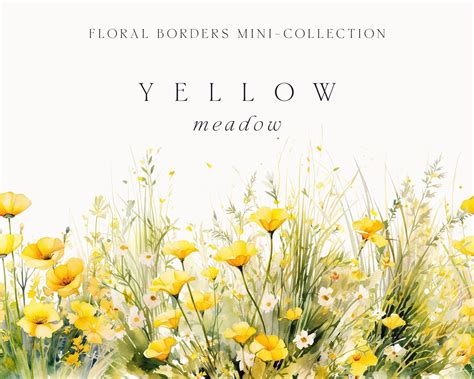 Watercolor Floral Clipart Yellow Flowers Borders Summer Floral Clipart Png Floral Border Meadow