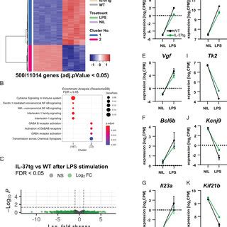 Rna Sequencing Of Microglia Isolated From Wt And Il Tg Mice After Lps