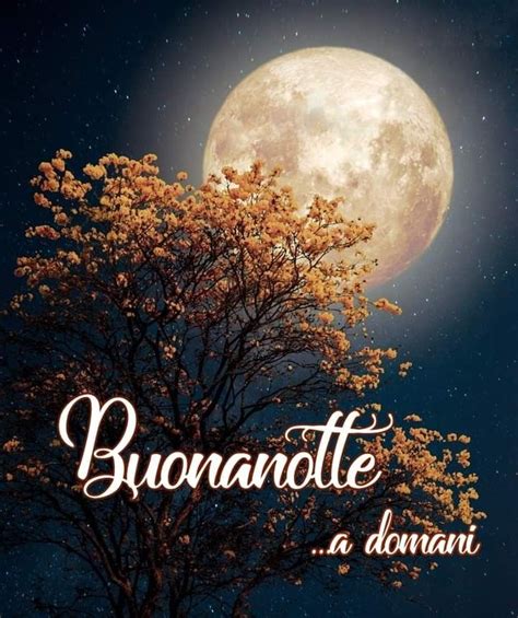 Pin Di M Giovanna Su Buonanotte Buonanotte Immagini Auguri Di Buona