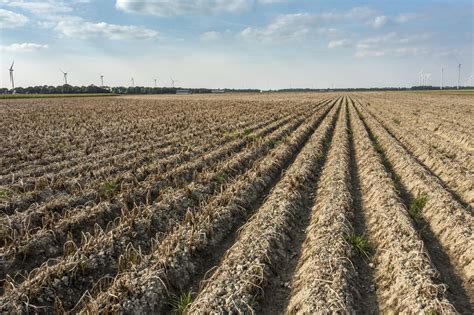 Drought Conditions In Florida Hits Ranchers Growers Programbusiness Where Insurance